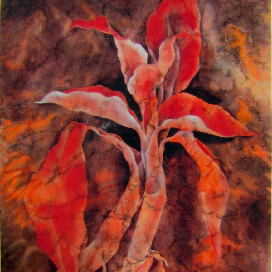 捕鱼达人破解版