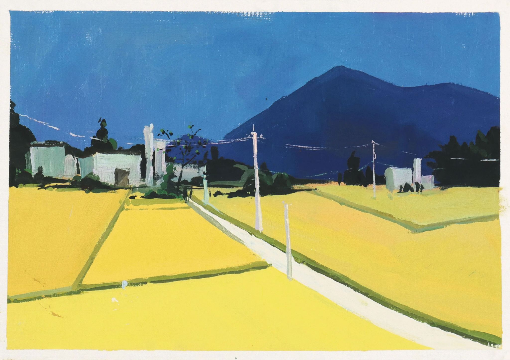 捕鱼达人破解版